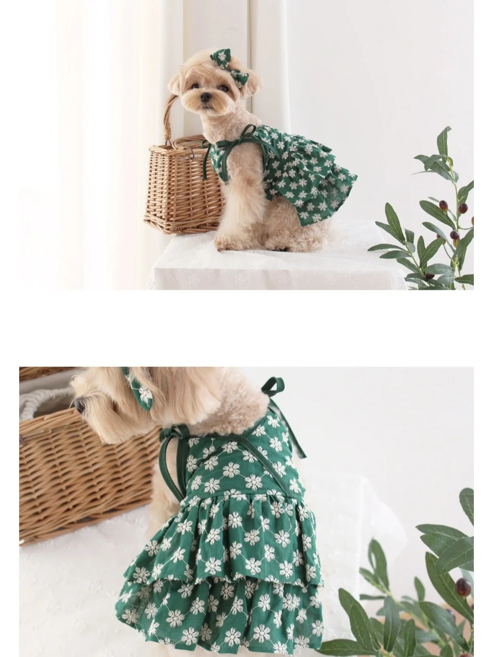 CokeMill Aloha Dress Puppy Dress Korean Pet Fashion NWT